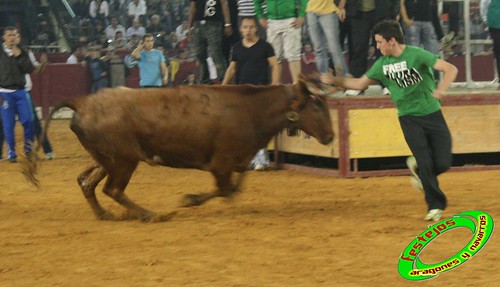 Zaragoza, Sábado 10 de Octubre ganaderia Maylin de Luna (Zaragoza) 3998099665_e1a99fc284