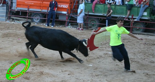 Alpartir (Zaragoza) 21-06-2009 Ganaderia "El Ruiseñor" (Frescano) 3656813698_91d33069e5