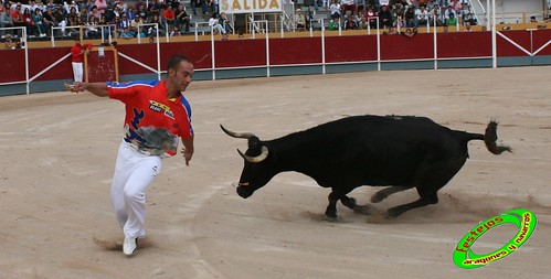 Borja (Zaragoza) 19-09-2009 Concurso de recortadores con anillas, ganaderia Hnos Ozcoz (Fuente de Ebro, Zaragoza) 3943500353_ae2b410456