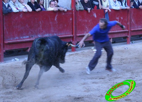 Cabanillas (Navarra) 25-09-2009 ganaderias de Hnos. Magallón (Fustiñana, Navarra) 3969848336_770ce70d79