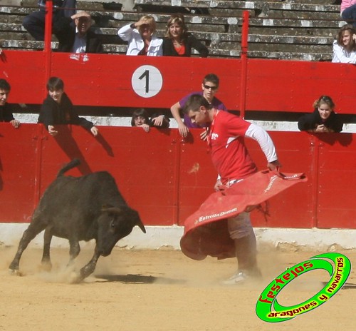 Alfaro (La Rioja) 16-05-2009 Ganaderia Martinez- Pascual (Alfaro) 3547870979_ef3e02429c