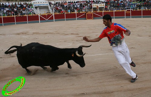 Borja (Zaragoza) 19-09-2009 Concurso de recortadores con anillas, ganaderia Hnos Ozcoz (Fuente de Ebro, Zaragoza) 3944280978_521b56c405