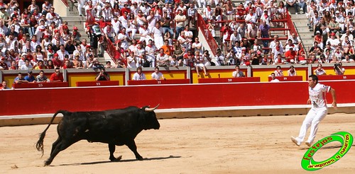 Pamplona (Navarra) 11-07-2009 toros de Marques de Albaserrada (GERENA, SEVILLA) 3719513725_acb12fd5c1