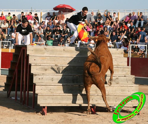 Borja (Zaragoza) desafio de ganaderias Murillo Conde (Tauste, Zaragoza) y Jose Arriazu e hijos (Ablitas, Navarra) 3965136995_dfff3d28ff