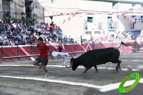 Cadreita (Navarra) 22-07-2009 Ganaderia el "Pincha" Lodosa (Navarra) 3761942072_61f98643bb