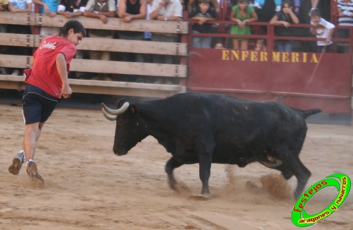 Mallen (Zaragoza) 10-09-2009 ganaderia Hnos. Vela (Mallen) 3923696896_e70e78e7f1