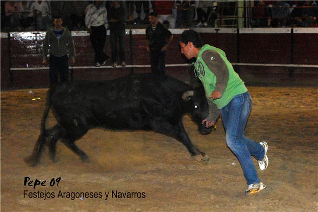 Cadreita (Navarra) 18-07-2009 noche Ganaderia de Enrique Dominguez (Funes, Navarra) 3742309266_9abfeae287_o