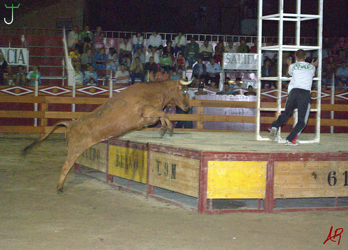 Quinto (Zaragoza) 18.7.2009 Embolado Hnos. Ozcoz y Vacas Hnos. Marcén 3743174760_8a08d50078