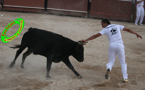 Ainzon (Zaragoza) 6-06-2009 Ganaderia "El Ruiseñor" (Frescano, Zaragoza) 3607959606_463dd08818