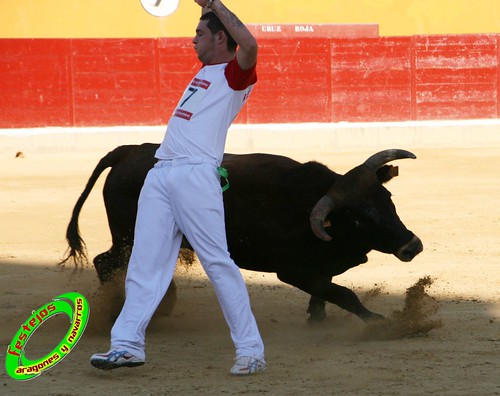 Alagon (Zaragoza) Concurso de cortes Ganaderia Jose Luis Cuartero (Pradilla de Ebro, Zaragoza) 3633931596_66d5625e25