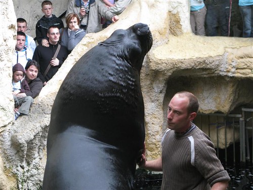 Sealand Aquarium, Noirmoutier 3658600060_c159abbe37