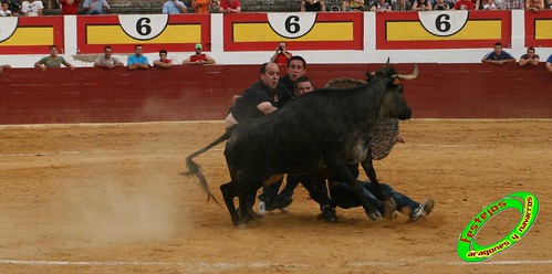 Concurso de roscaderos Ejea de los Caballeros (Zaragoza) 27-06-2009 ganaderia Pedro Dominguez (Funes, Navarra) 3679722248_1e158c8897