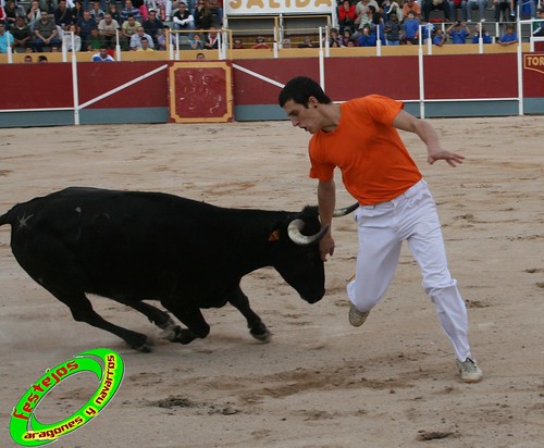 Borja (Zaragoza) 19-09-2009 Concurso de recortadores con anillas, ganaderia Hnos Ozcoz (Fuente de Ebro, Zaragoza) 3944276828_e50e69e398