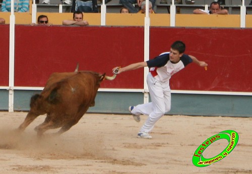 Borja (Zaragoza) 19-09-2009 Concurso de recortadores con anillas, ganaderia Hnos Ozcoz (Fuente de Ebro, Zaragoza) 3944270750_07050d4f1a