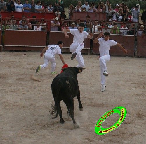 Ainzon (Zaragoza) 6-06-2009 Ganaderia "El Ruiseñor" (Frescano, Zaragoza) 3607092103_ab97348863