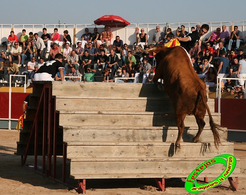 Borja (Zaragoza) desafio de ganaderias Murillo Conde (Tauste, Zaragoza) y Jose Arriazu e hijos (Ablitas, Navarra) 3965138043_bf060bfff6