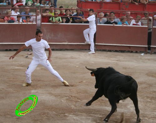 Ainzon (Zaragoza) 6-06-2009 Ganaderia "El Ruiseñor" (Frescano, Zaragoza) 3608003460_5920e16bf8