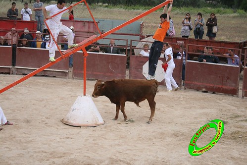 Ainzon (Zaragoza) 6-06-2009 Ganaderia "El Ruiseñor" (Frescano, Zaragoza) 3608084086_85facf0492