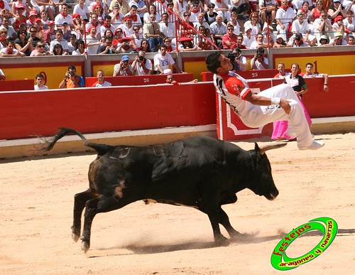 Pamplona (Navarra) 11-07-2009 toros de Marques de Albaserrada (GERENA, SEVILLA) 3719601143_967467be58