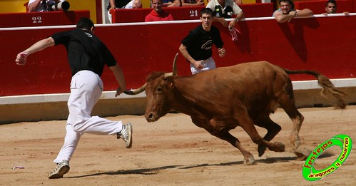 Concurso de recortadores de Pamplona con ganaderias de casta navarra 3724503822_e481f7f97c