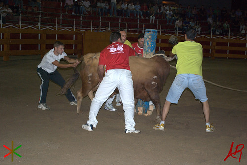 Quinto (Zaragoza) 18.7.2009 Embolado Hnos. Ozcoz y Vacas Hnos. Marcén 3742085649_4c1a3f9068