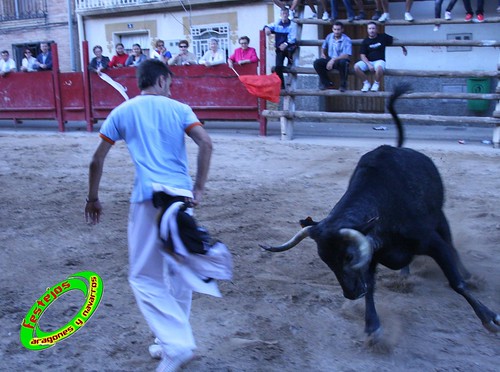 Cabanillas (Navarra) 25-09-2009 ganaderias de Hnos. Magallón (Fustiñana, Navarra) 3969887288_f6700e0a74