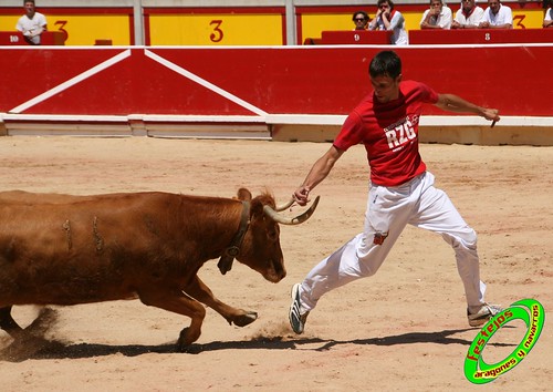 Concurso de recortadores de Pamplona con ganaderias de casta navarra 3724588450_c259afdf50