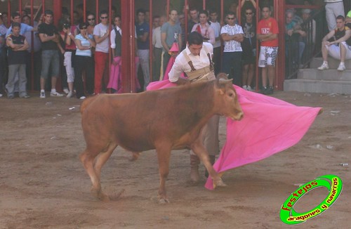 Alpartir (Zaragoza) 21-06-2009 Ganaderia "El Ruiseñor" (Frescano) 3655985797_b454894691