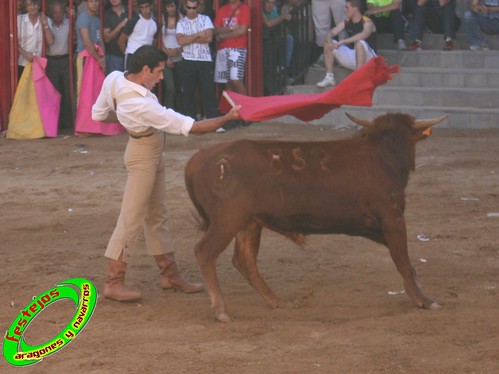 Alpartir (Zaragoza) 21-06-2009 Ganaderia "El Ruiseñor" (Frescano) 3656795304_51c71aee5a