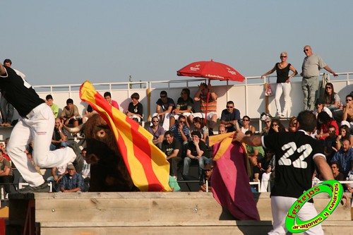 Borja (Zaragoza) desafio de ganaderias Murillo Conde (Tauste, Zaragoza) y Jose Arriazu e hijos (Ablitas, Navarra) 3965929418_9710c88fd8