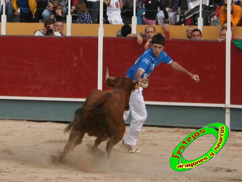 Borja (Zaragoza) 19-09-2009 Concurso de recortadores con anillas, ganaderia Hnos Ozcoz (Fuente de Ebro, Zaragoza) 3944272812_5b01a24ab0