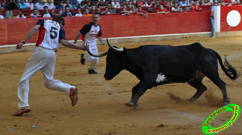 Concurso de recortadores con anillas de Zaragoza, ganaderias Hnos. Ozcoz (Fuentes de Ebro, Zaragoza) y D. Jesus Marcen (Villanueva de Gallego, Zaragoza) 4031763466_b6e0aa5905