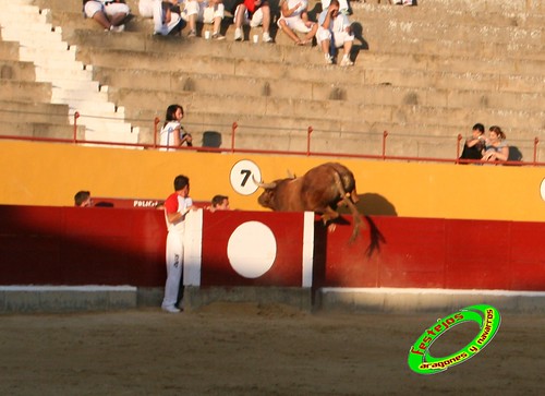 Alagon (Zaragoza) Concurso de cortes Ganaderia Jose Luis Cuartero (Pradilla de Ebro, Zaragoza) 3634768257_6284789518