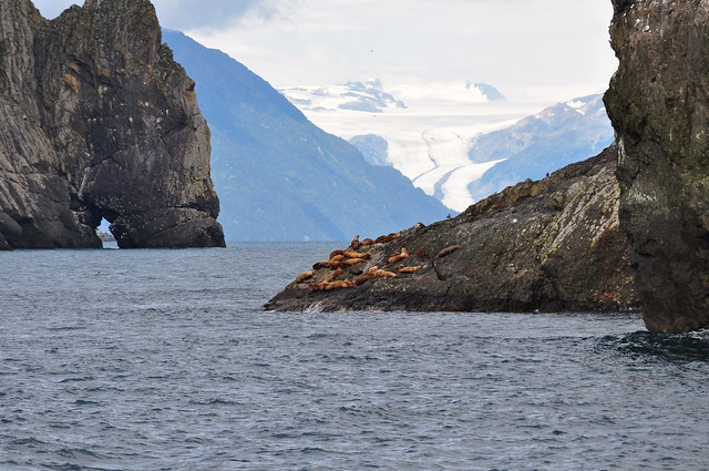 El paraíso perdido de Kenai, en Alaska 3878062447_da55892cfb_z