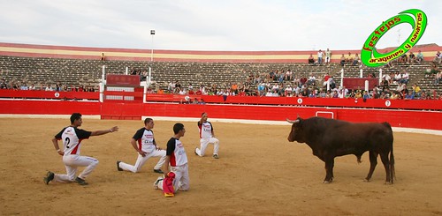 Concurso de cortes en Alfaro (La Rioja) 5-09-2009 toros de Toropasion 3905867133_b9dfd40098