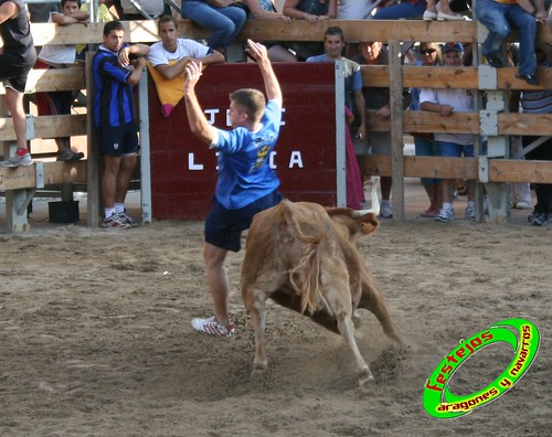 Ribaforada (Navarra)  25-08-2009 ganaderia Santos Zapateria (Valtierra) 3862628960_fb3d163de8