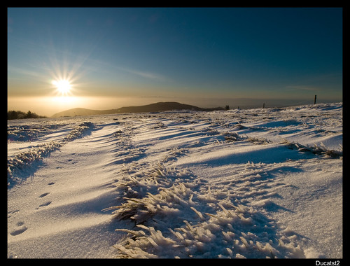 Matinée hivernale.... 4171540889_61de61cff1