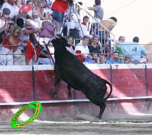 Cadreita (Navarra) 22-07-2009 Ganaderia el "Pincha" Lodosa (Navarra) 3761915888_f171b16967