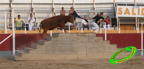 Villamayor (Zaragoza)   9-9-2009 Ganaderia Hnos Murillo (Tauste) 3920391038_d3f7e25e21