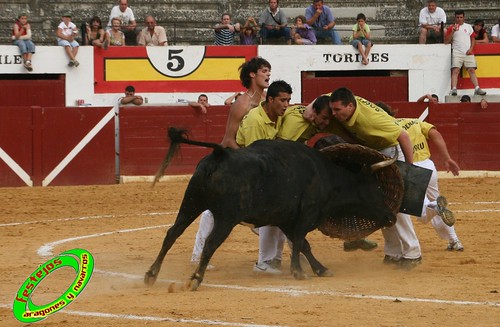 Concurso de roscaderos Ejea de los Caballeros (Zaragoza) 27-06-2009 ganaderia Pedro Dominguez (Funes, Navarra) 3679331530_d00de77404