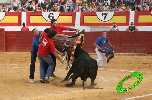 Concurso de roscaderos Ejea de los Caballeros (Zaragoza) 27-06-2009 ganaderia Pedro Dominguez (Funes, Navarra) 3681275910_ebf20526d0