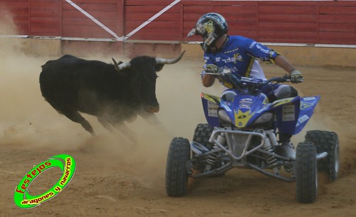 Cintruenigo (Navarra) 11-09-09 despedida de Jose Luis Pejenaute, exhicion de saltos, moto, quad y anillas, ganaderia Santos Zapateria (Valtierra, Navarra) 3926096467_d5d0b1c32a