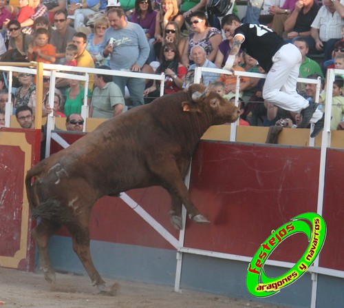 Borja (Zaragoza) desafio de ganaderias Murillo Conde (Tauste, Zaragoza) y Jose Arriazu e hijos (Ablitas, Navarra) 3965274807_4981ae86aa