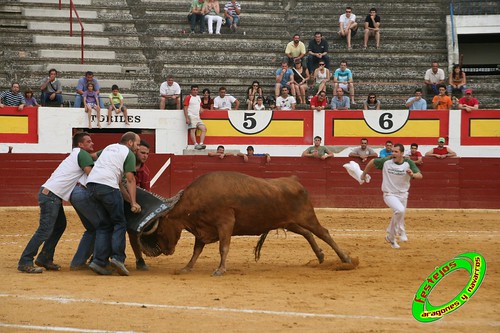 Concurso de roscaderos Ejea de los Caballeros (Zaragoza) 27-06-2009 ganaderia Pedro Dominguez (Funes, Navarra) 3679347300_5c9d35fe74