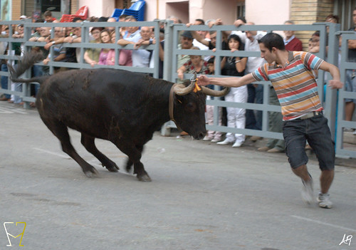 Magallón (Zaragoza) 9.8.2009 Ganadería Merino Gil - Garde (Marcilla, Navarra) 3807168931_d99737c64e