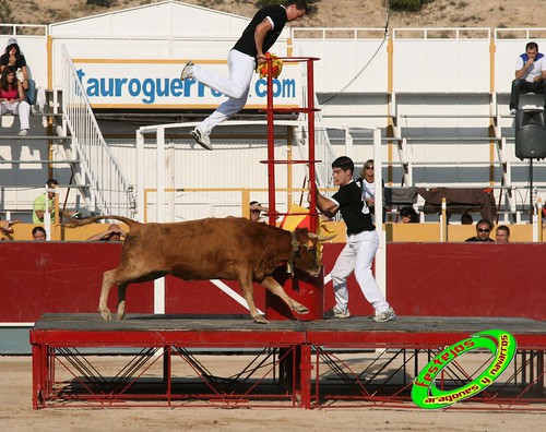 Borja (Zaragoza) desafio de ganaderias Murillo Conde (Tauste, Zaragoza) y Jose Arriazu e hijos (Ablitas, Navarra) 3965900352_01a3c9ff7c