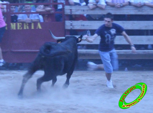 Mallen (Zaragoza) 8-09-2009 ganaderia Hnos. Vela (Mallen) 3906734972_2601831e60