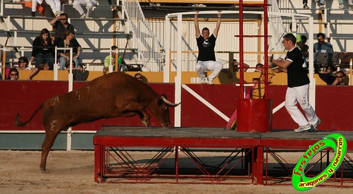 Borja (Zaragoza) desafio de ganaderias Murillo Conde (Tauste, Zaragoza) y Jose Arriazu e hijos (Ablitas, Navarra) 3965981554_beb06d7869