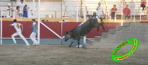 Villamayor (Zaragoza)   9-9-2009 Ganaderia Hnos Murillo (Tauste) 3920371263_d87063eaa7