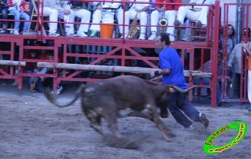 Cabanillas (Navarra) 25-09-2009 ganaderias de Hnos. Magallón (Fustiñana, Navarra) 3969854162_e09eba48a8